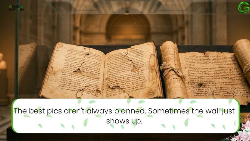 Best Captions for Museum Visits – Aesthetic, Funny & Short Instagram Captions 