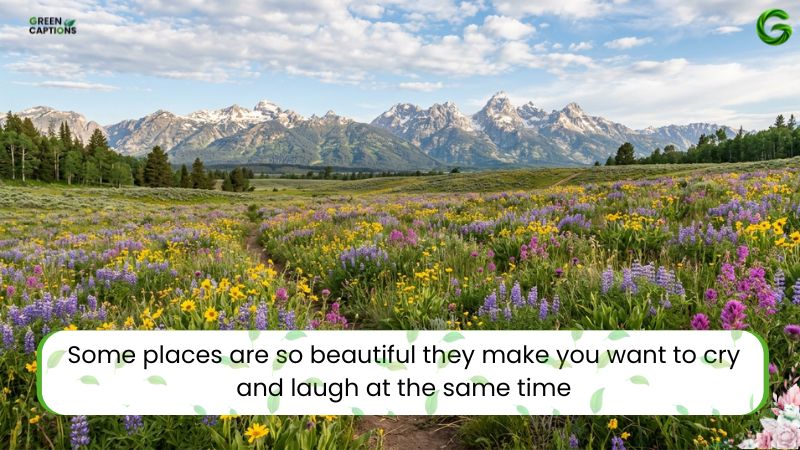 Best Nature Captions for Instagram Short & Cute Captions