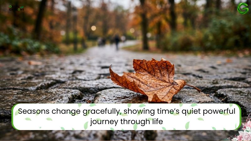 Inspirational Quotes on Change
