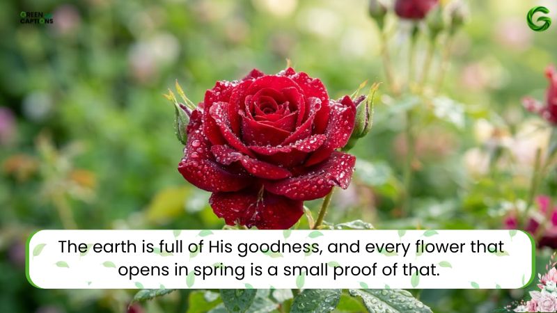 Quotes About Flowers That Capture Beauty