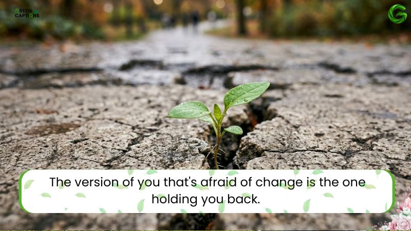 Quotes on Change to Inspire You Through Life's New Chapter