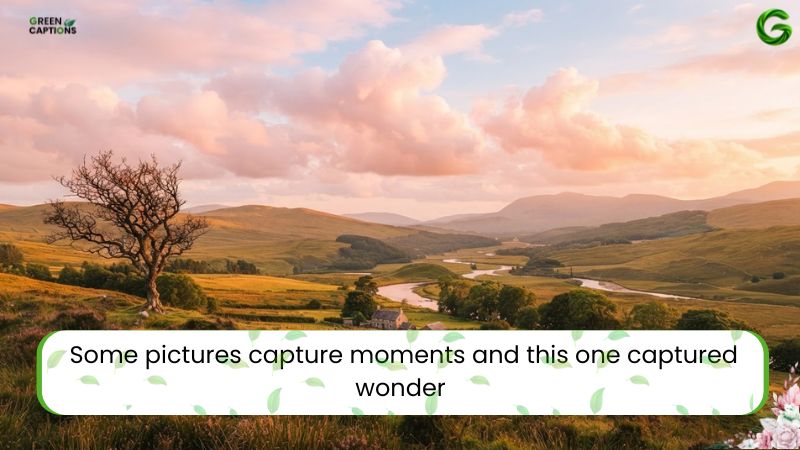 Caption About Sky